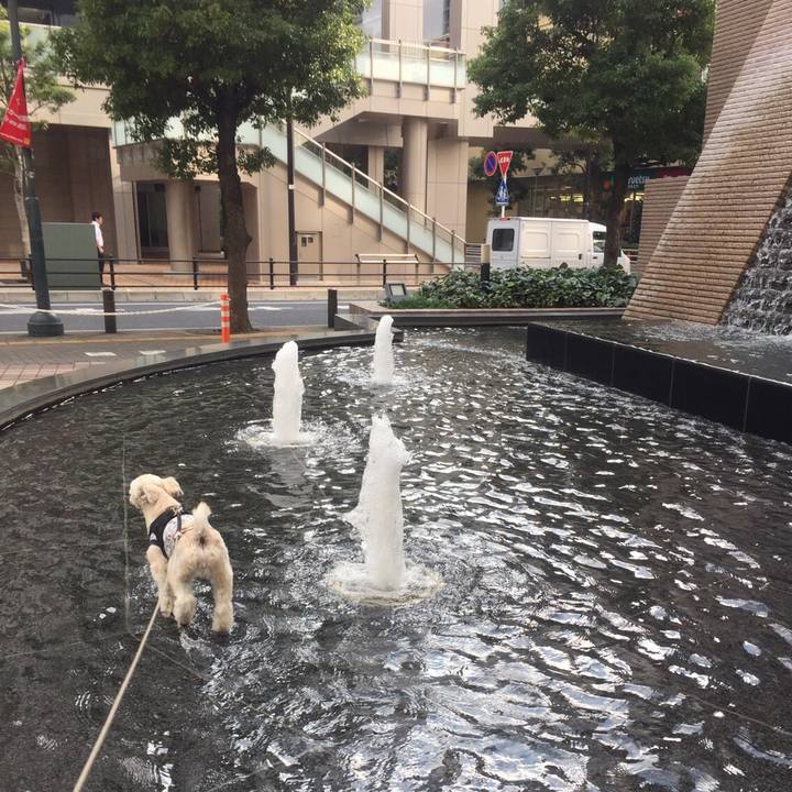 B6b7b8ed e70e 42c3 bec5 8e392667fb10 1541671131606