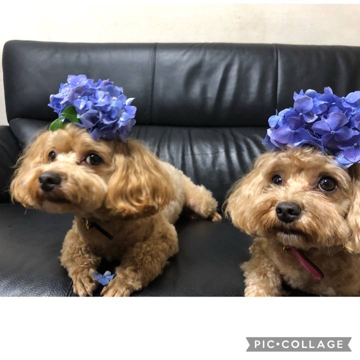 B6b7cae3 3c65 488c a8f0 f0df65177975 1657971909786