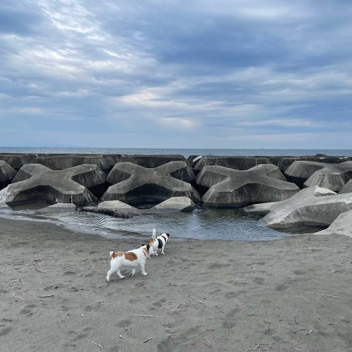 B6b7f8d2 bcbe 4666 93f6 43f543e8b69c 1751672553003