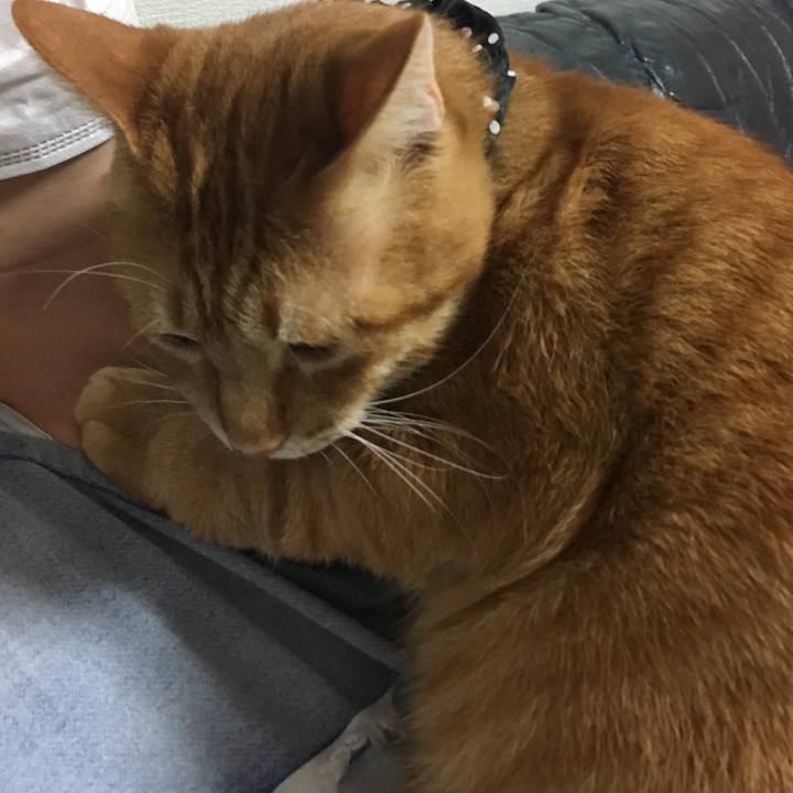 B6b800d8 8c42 4d89 a6cd 4df937dc1c6a 1540385422185