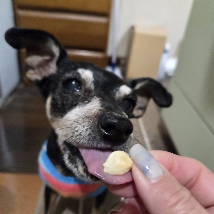 B6b80593 384c 44ee 9000 a341cb26a60a 1772912917352