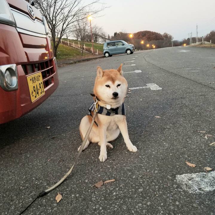 B6b80d28 0320 415f 991d 1137ccabdd02 1637307759580