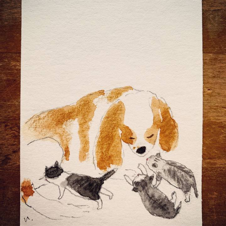 B6b85f50 3e8d 44b1 ba35 a9453daac2e7 1613693651094