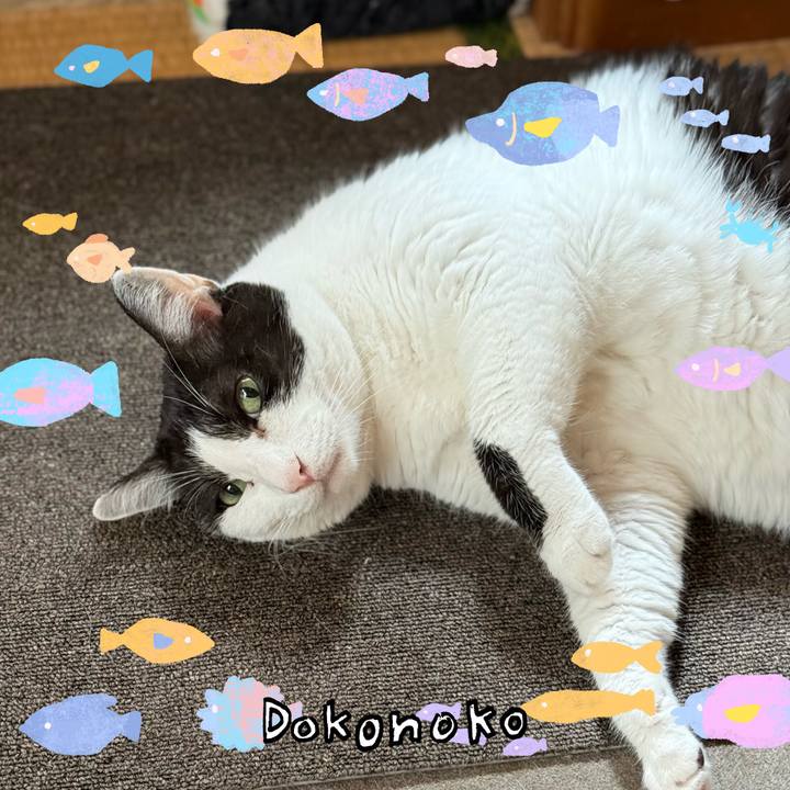 B6b876bd fc1a 40fd b010 564082aa13b1 1755141198248