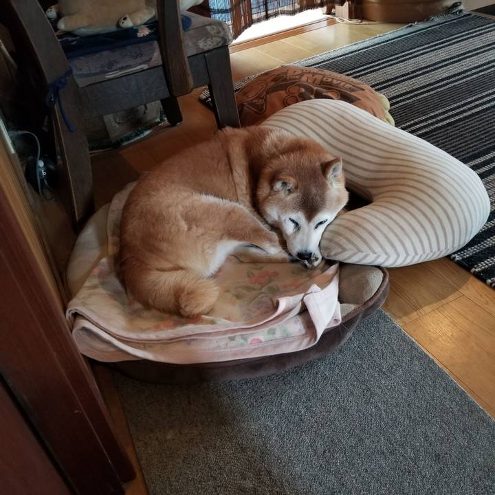 B6b88b63 f421 4cb5 8318 6f25c0767474 1736558364641