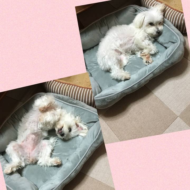 B6b8a13b 2fdb 4896 a732 d305848be929 1578525073134