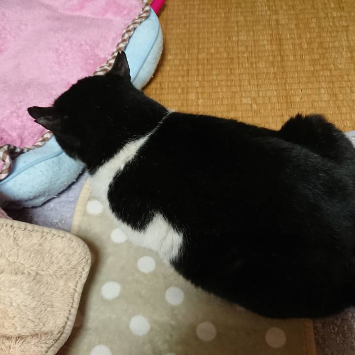 B6b8a257 9820 4176 a1a7 3c45585add52 1556074516052