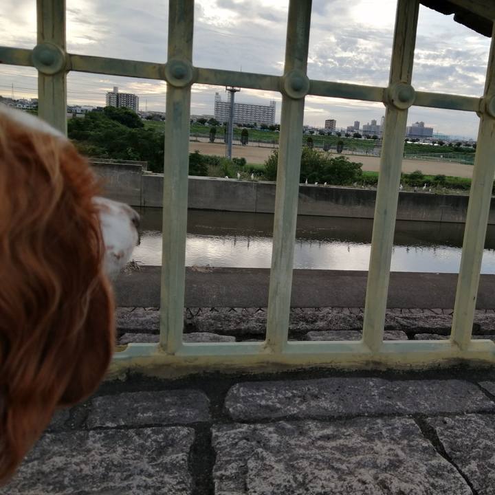 B6b8a7ea 2515 4bf0 8890 ca8ff4be95f7 1630841772730