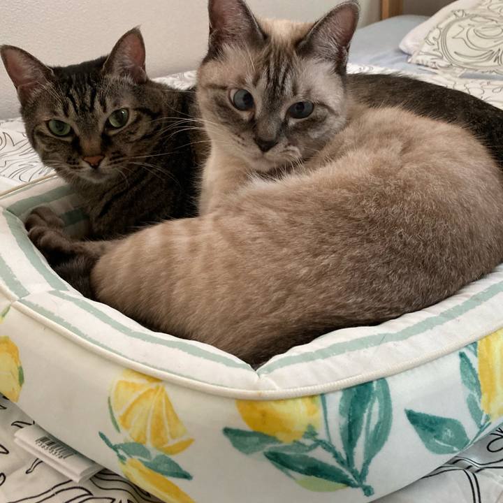 B6b8dae1 2b64 435b 8a1a beb795624f62 1660519411389