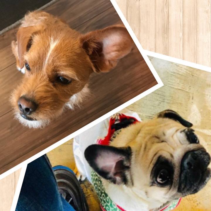 B6b920df f730 48ea b076 4c58cbb31015 1554595260038