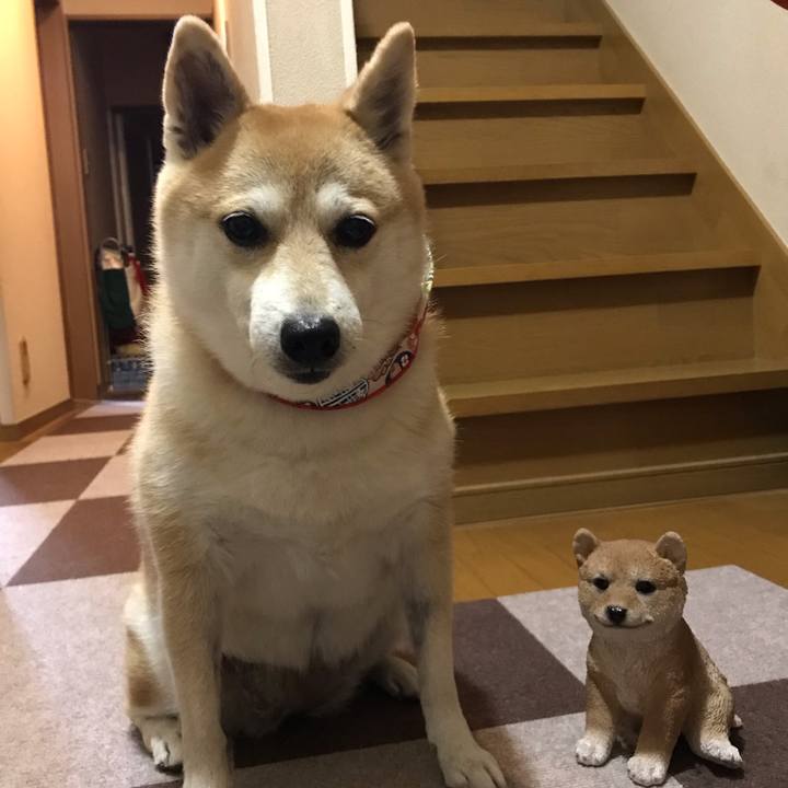 B6b93dae 9507 468d bd6a cd56b503a44b 1540506408917