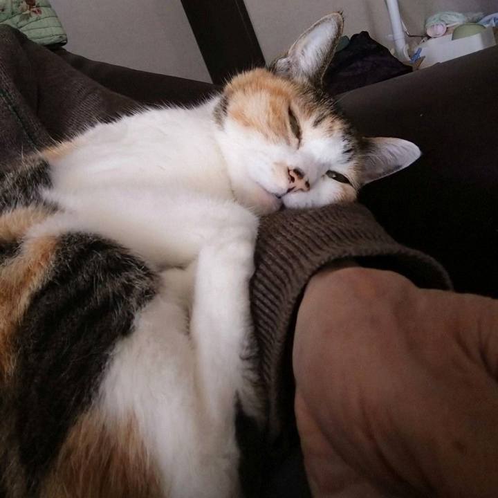 B6b94704 ad8c 421e 991e 2faa94f79cc3 1765593311818