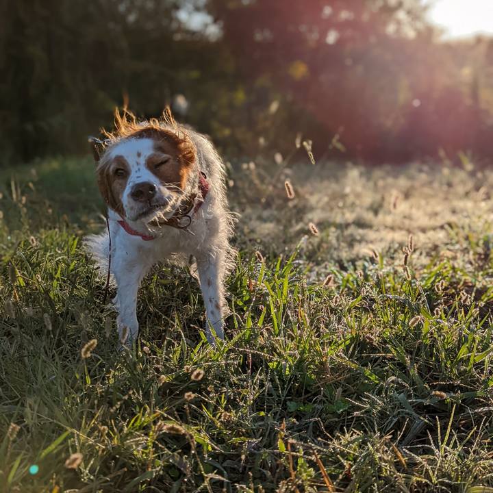 B6b94daa 058b 46ff bbaf 0e27afc8d13f 1635554674915