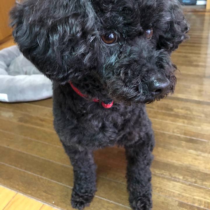 B6b951bd aa32 4186 932e 0781a940fa3b 1617500643123