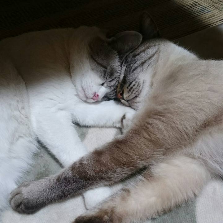 B6b995ec ce63 42e2 bd6d b0c6307e9a4e 1511786660682