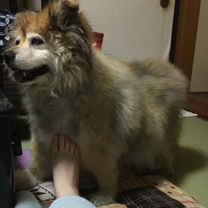 B6b9979e 3e87 4a26 b8cd 427dd62dc4f7 1614388186372