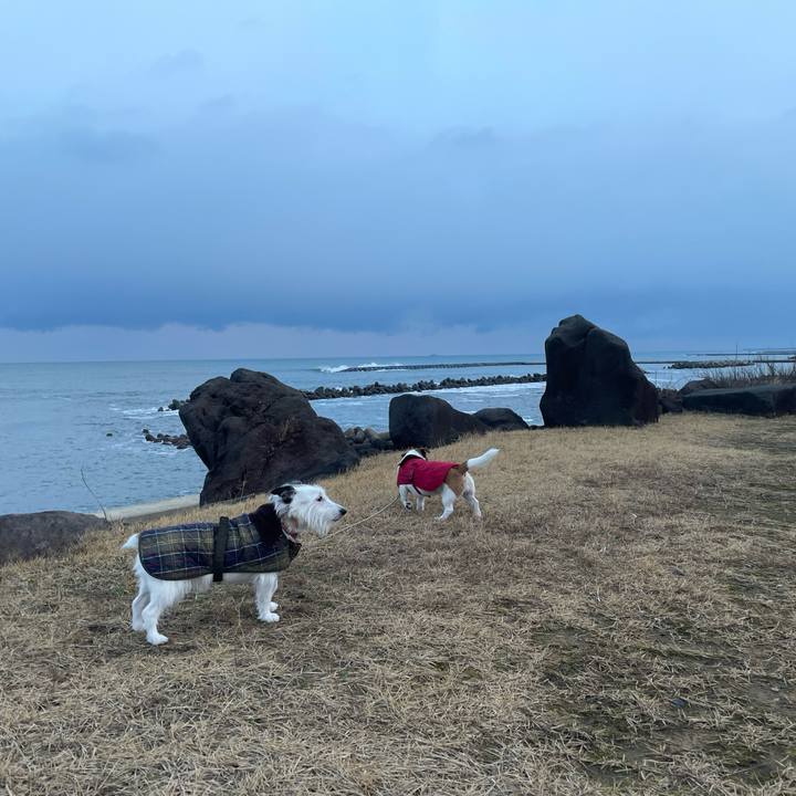 B6b9b0fa b4c7 4a7f 96be 72b00475a4df 1765931129644