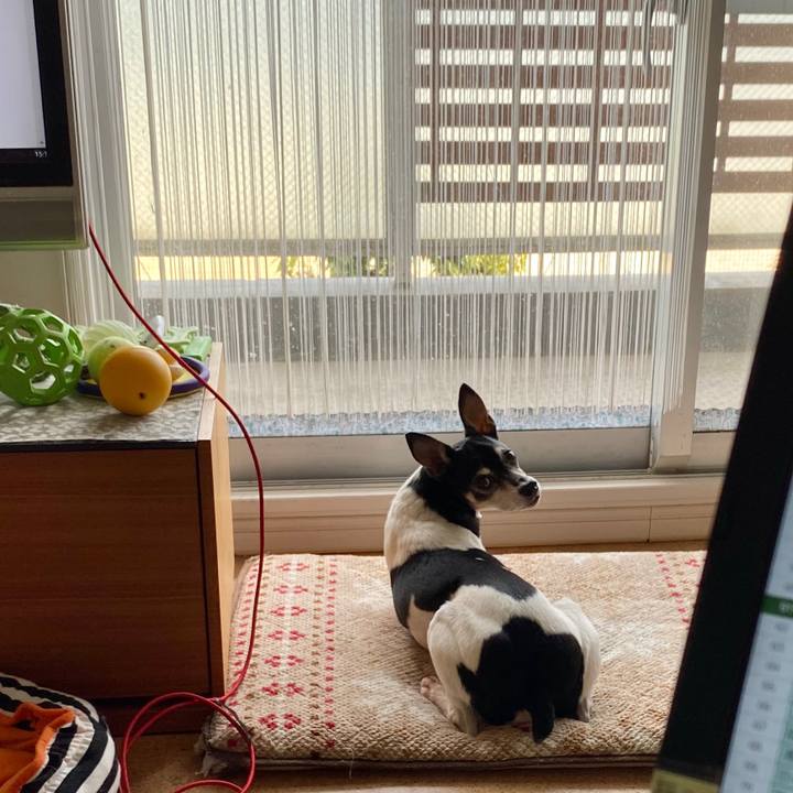 B6b9b242 dc0b 4edc bbd2 d7dd74d4efd5 1587425314156