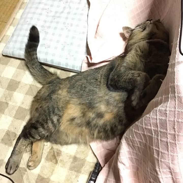 B6b9c62d 4b2b 40c3 b671 786dbf5ea824 1667996981829