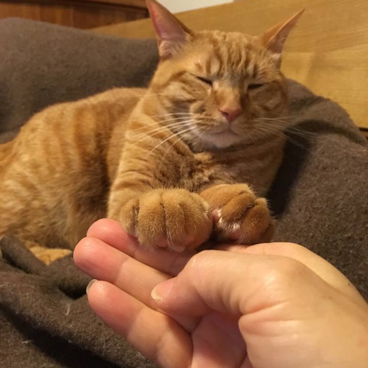 B6b9efdf c415 484f b03f 43e1f520e20e 1513950898838