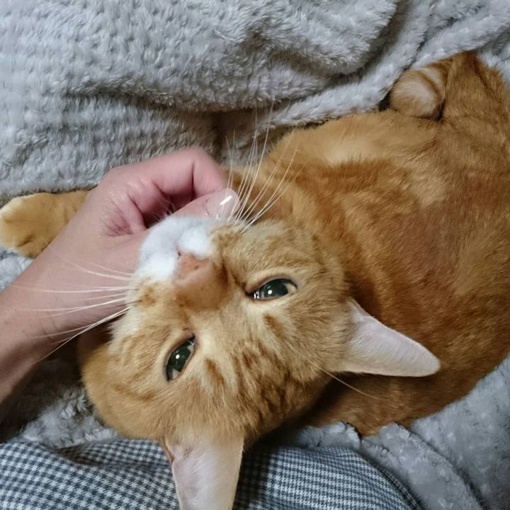 B6b9f524 6e04 461c 80af 572f82e2dce0 1508944342877