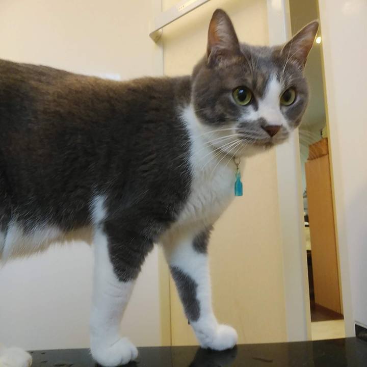 B6ba0096 facc 40ce 8bcf 762a15a63be3 1643446186997