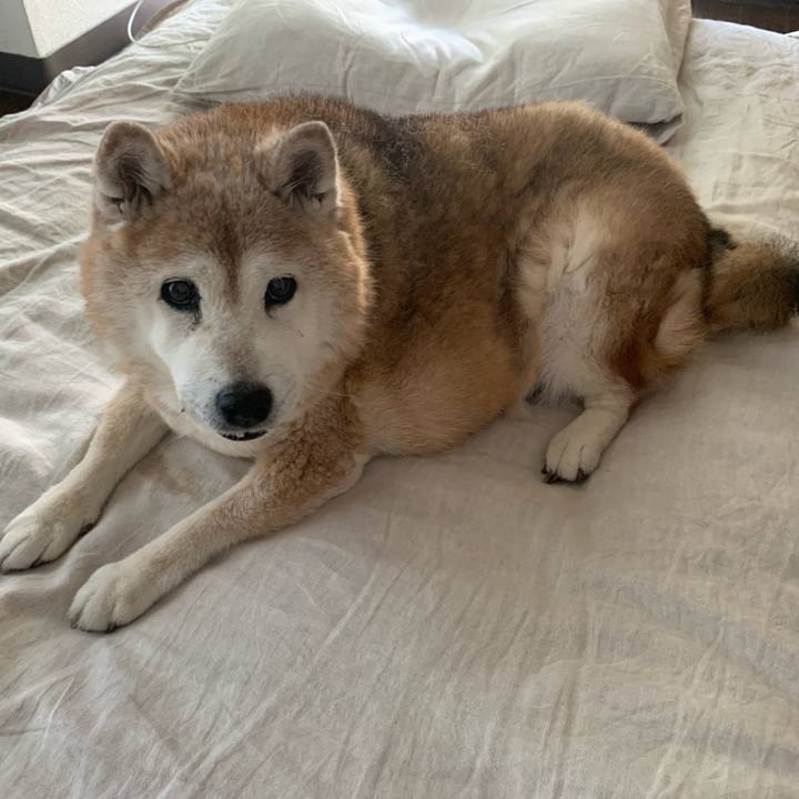 B6ba090b 828d 4b9c b6ad 68d8a925704f 1656454948903