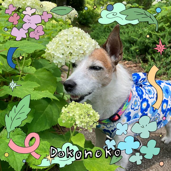 B6ba254e 3fd1 4702 a189 0bcd1030dd89 1718234562747