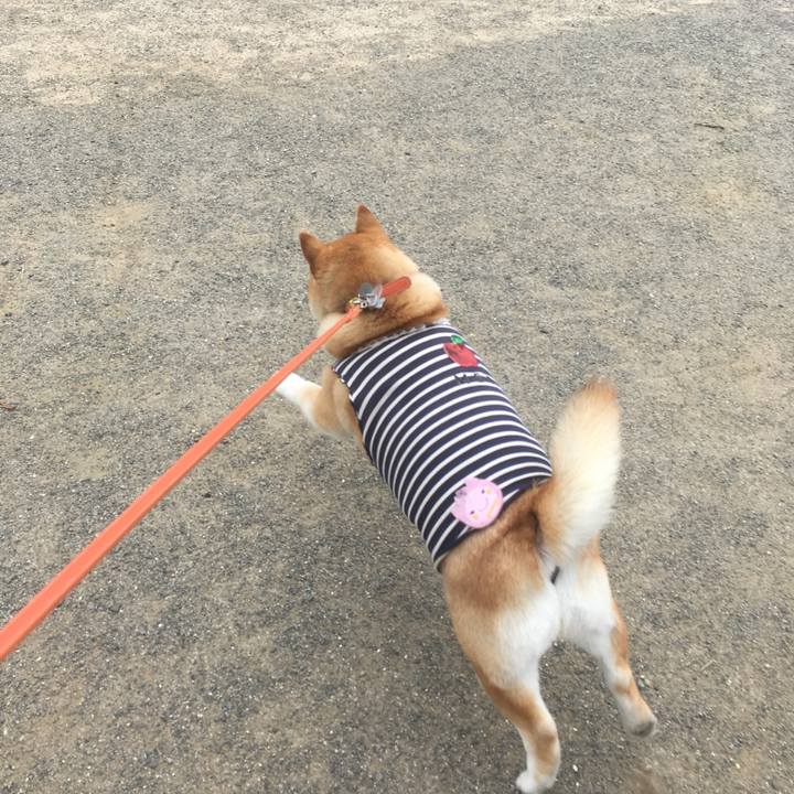 B6ba4e97 6696 4a8c a7ee a7b35881e6b6 1546749050586