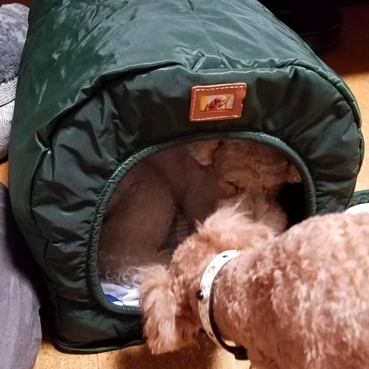 B6ba8859 6947 4154 bf59 59db412d17f6 1557455650015