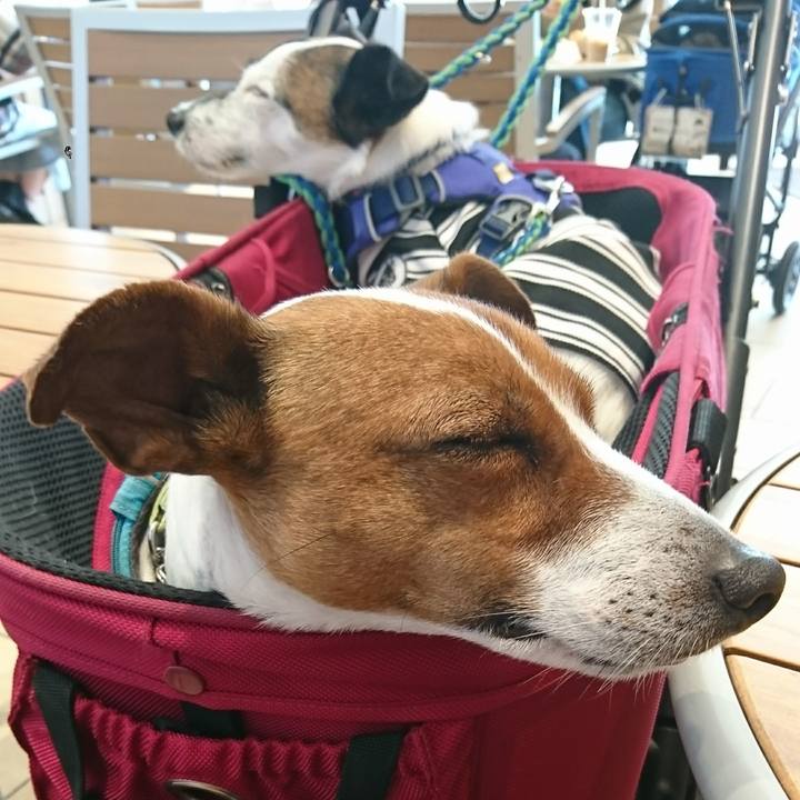 B6bb2587 0899 461d 883d cc47abc08449 1613890782091