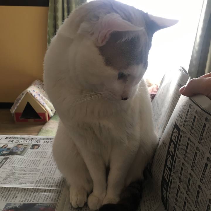 B6bb469c c3c5 421c 9244 b34e720906f0 1552868874393