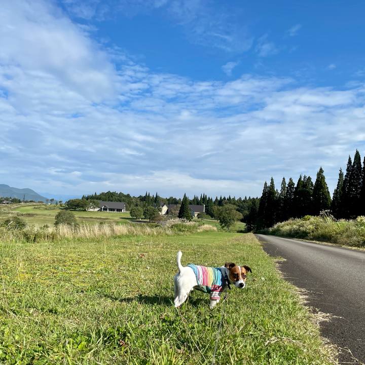 B6bb757d d280 45bd bacd 62908b8463ff 1632895553630