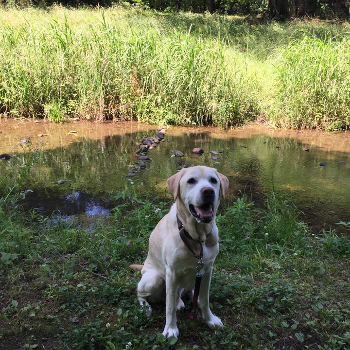 B6bbc5f1 d62c 4a10 8966 0330bd2bd882 1528375032115