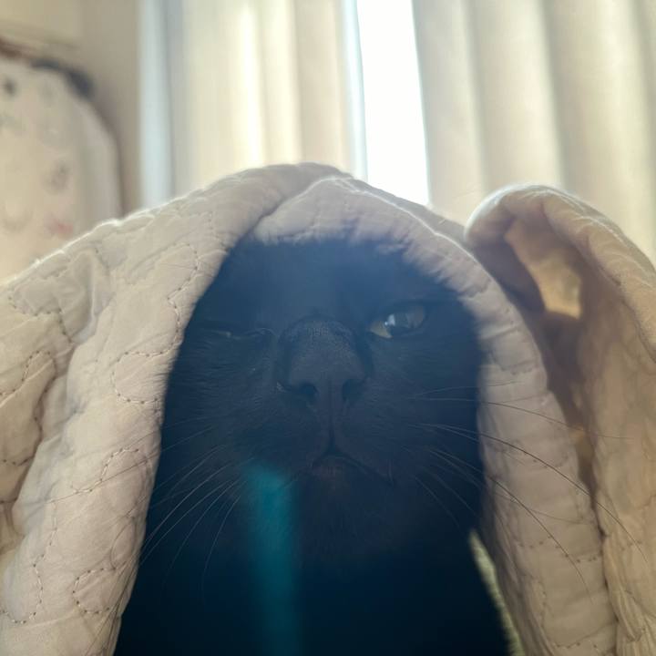 B6bbd2ca fb5d 4106 ad2f dd8efeb700d0 1721441435773