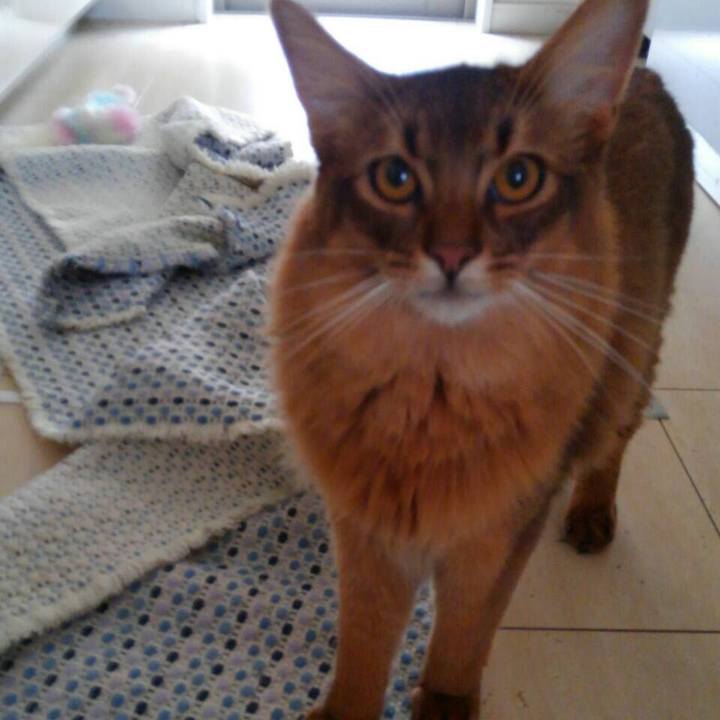 B6bc0577 8aa8 45b3 854e 5df09b237333 1593566381151