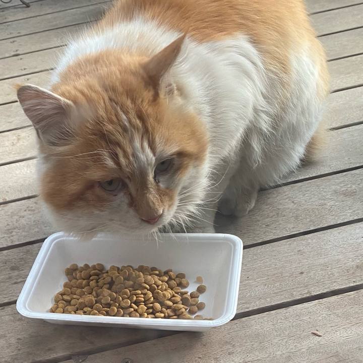 B6bc102f 4ced 4cd6 b985 cb0a263eb97b 1648942726238