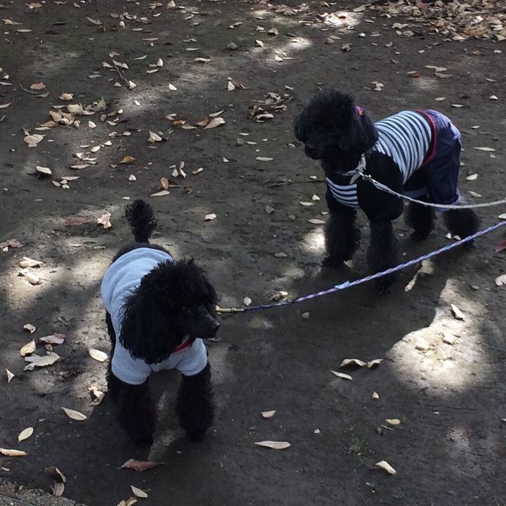 B6bc186d ad39 49a3 be3f 2f21c18b693b 1542186656100