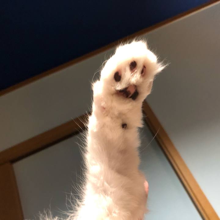 B6bc18f0 9cfc 49e6 bab4 40c6b7dc62d9 1567385900321