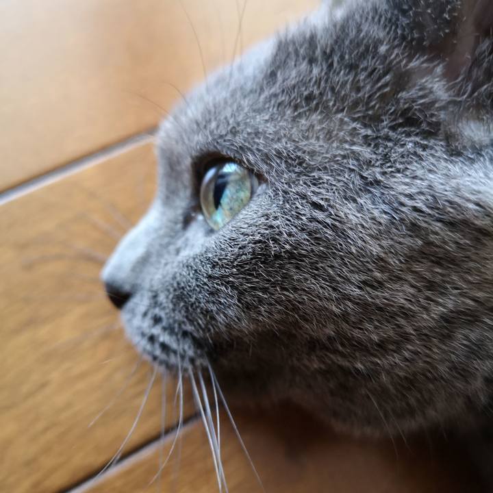 B6bc20a6 cc1d 45d9 b913 ec508b58a041 1597451610788