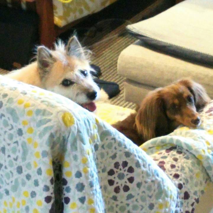 B6bc215c 35d4 4654 9f04 07d1dad593f1 1538788236785