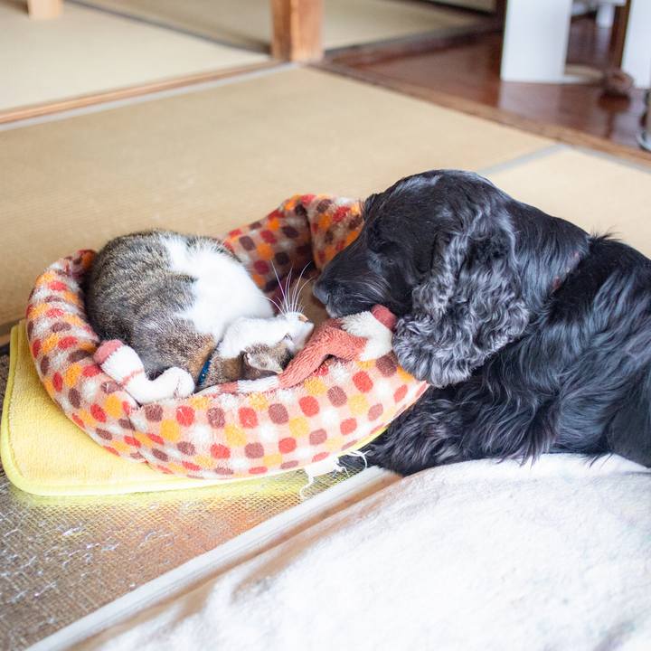 B6bc4dd1 6128 409a a91b bc7cc01b0484 1553301325506