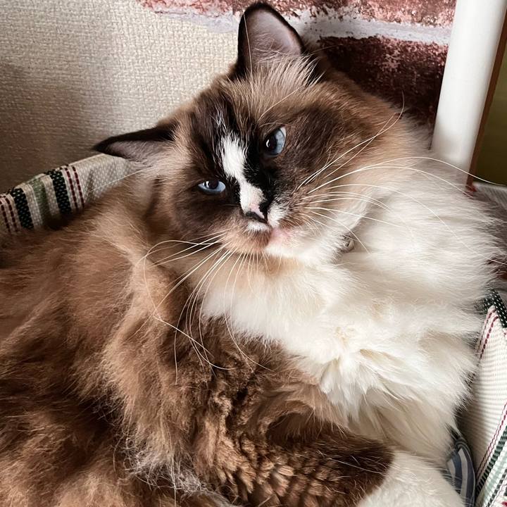 B6bc578e af87 428e a700 90fe4276ba17 1665894408266