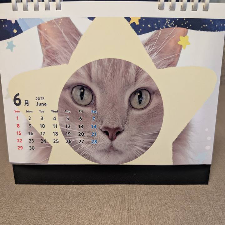 B6bc7b96 1537 4546 aab4 d2001c9d2209 1748940064233