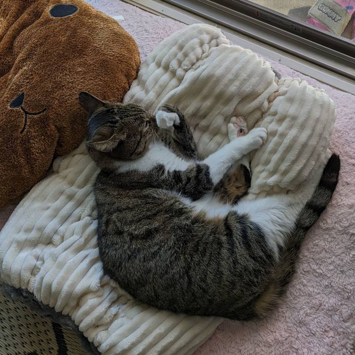 B6bcc0f9 d54f 4498 8ae9 9cddf999e515 1695532319647