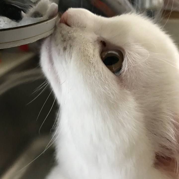 B6bcd601 38a3 4a95 befa 5fc546ca5270 1511576938158