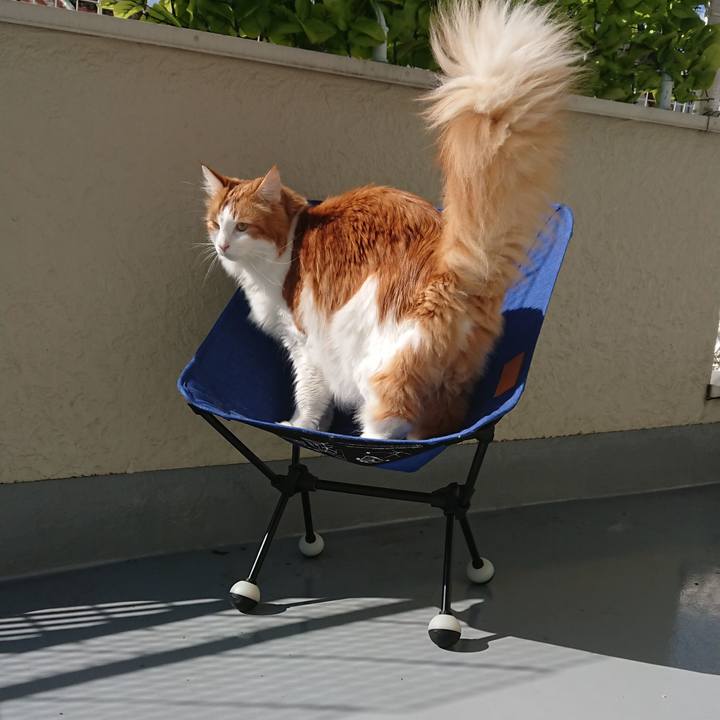 B6bce4d0 6b7b 451c 888d f31948d1d71f 1572833113658