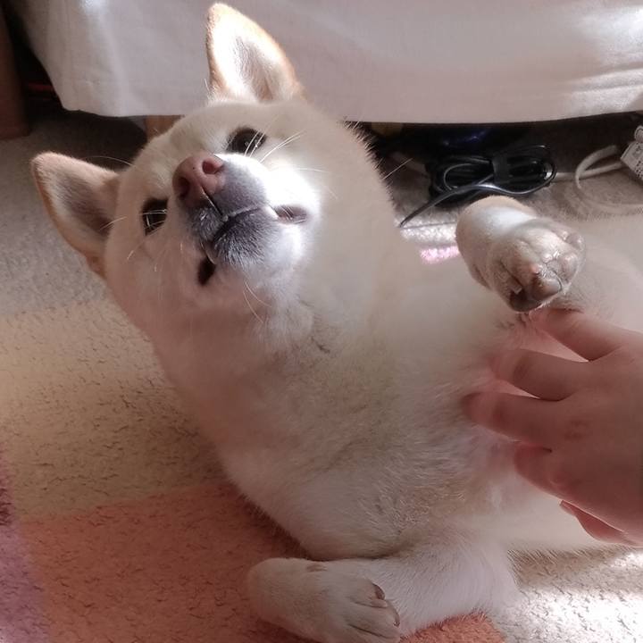 B6bcf290 fef2 4ef5 86a3 56763e86ec14 1581388818246