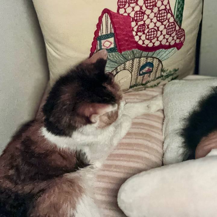 B6bd01f1 ec71 4aa5 b027 5458f2b3ee32 1745282337763