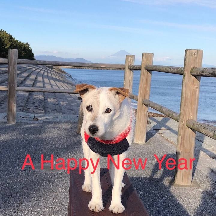 B6bd2ce6 a3df 44c4 b384 212079c32456 1609478201169